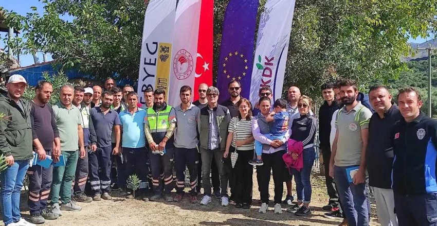 Pestisitlerin Doğru Kullanımı